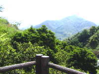 追憶4